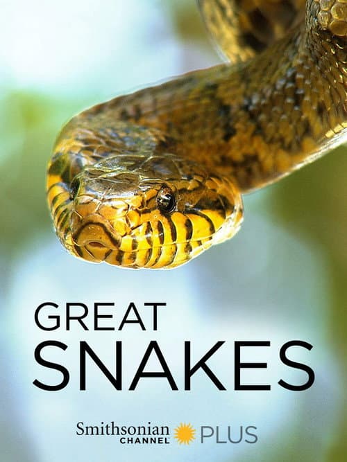 Great Snakes