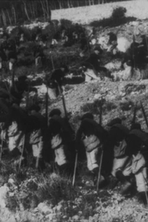 6ème bataillon de chasseurs alpins: ascension du sommet du diable