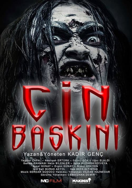 Cin Baskini