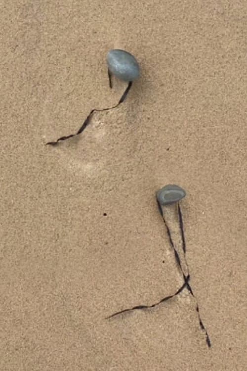 Double act