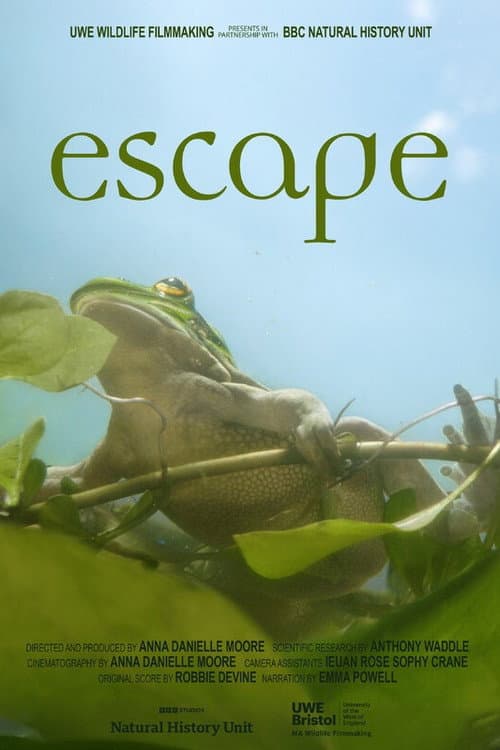Escape
