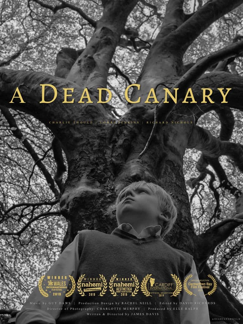 A Dead Canary