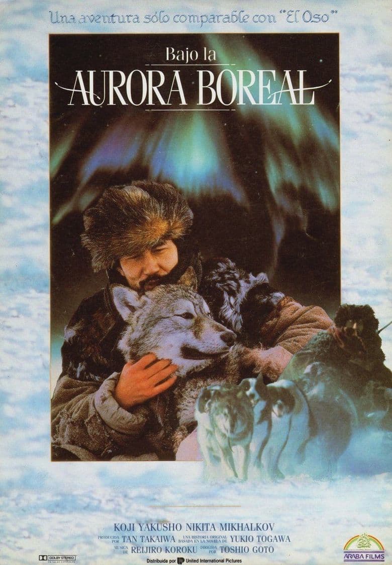 Aurora Borealis