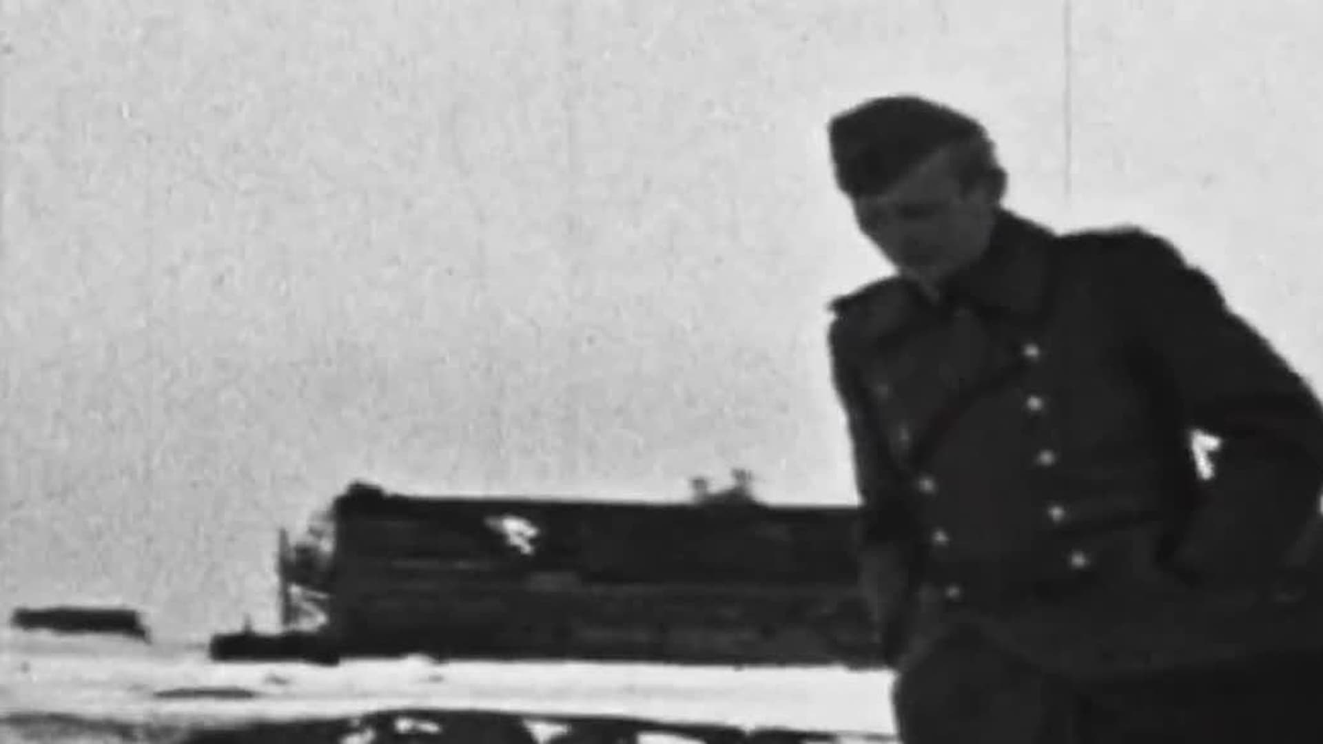 Hitler's Eastern Front: Army Group South