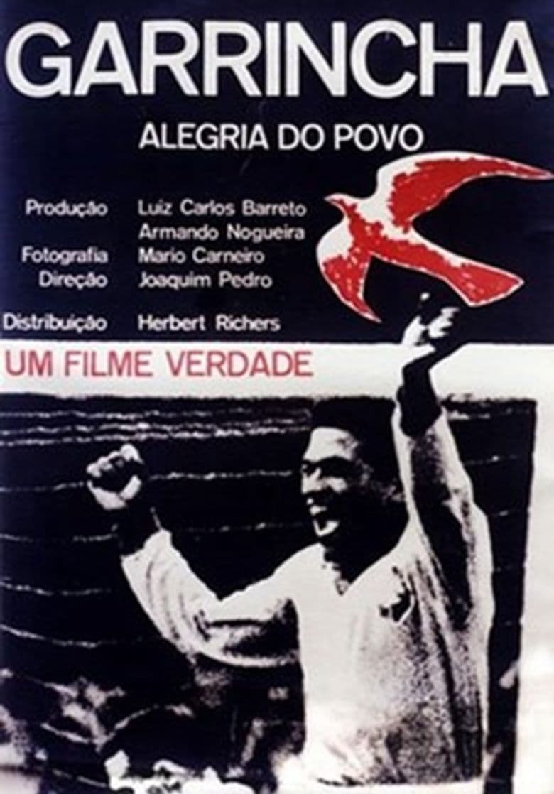 Garrincha: Hero of the Jungle