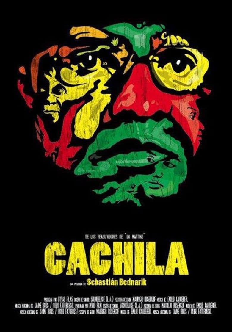 Cachila