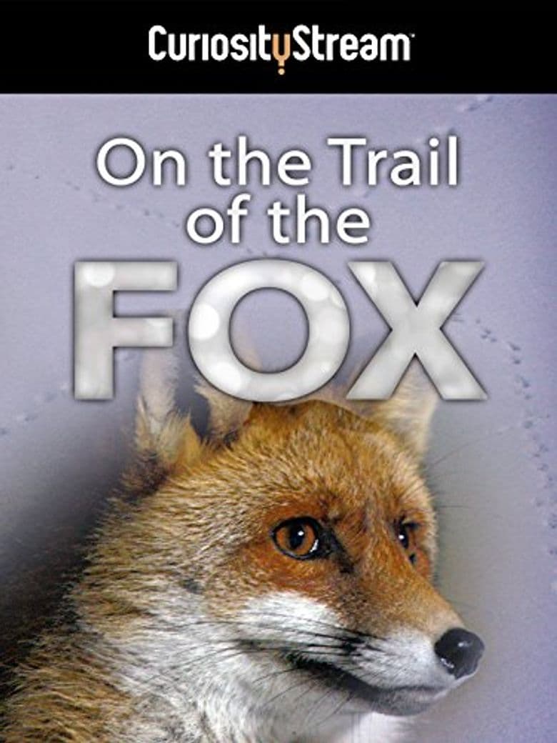 On the Trail of the Fox