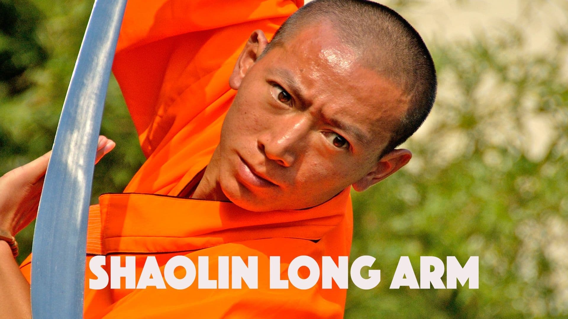 Shaolin Long Arm
