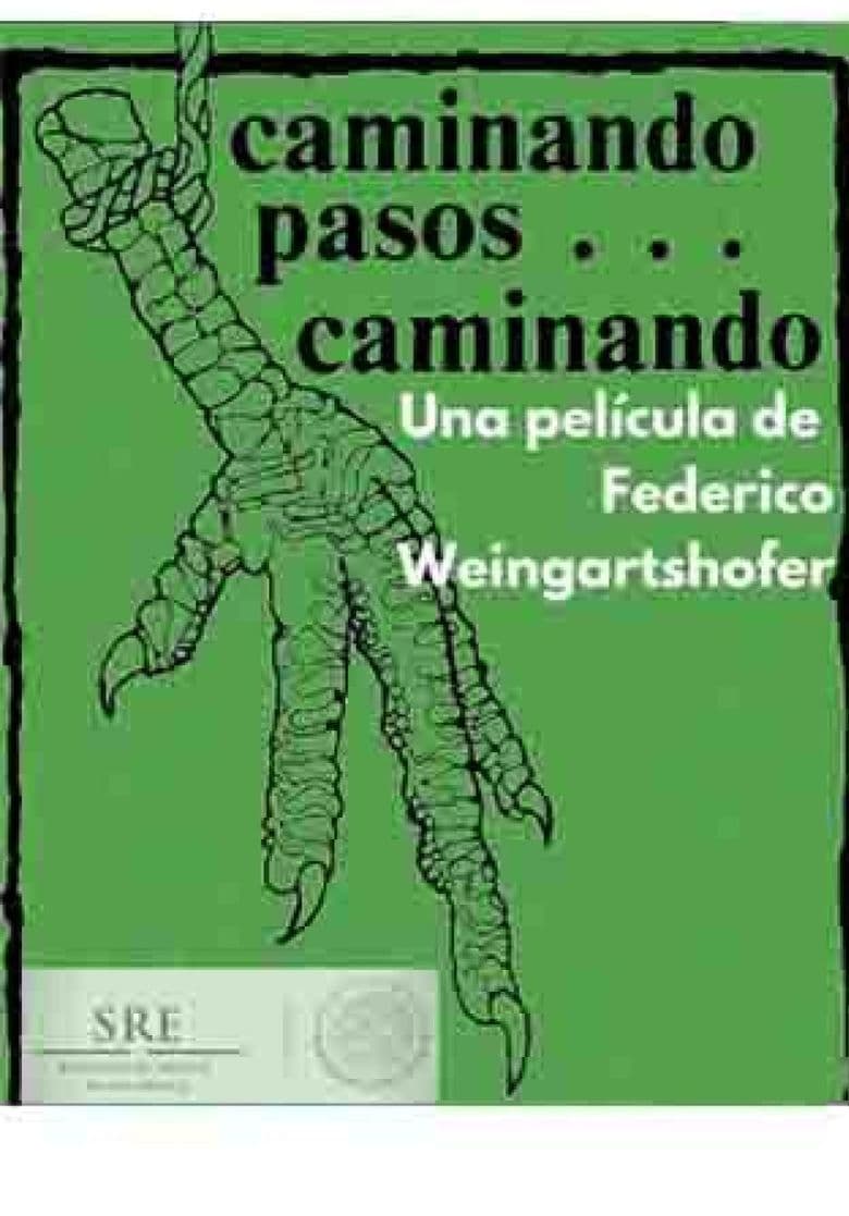 Caminando pasos... caminando
