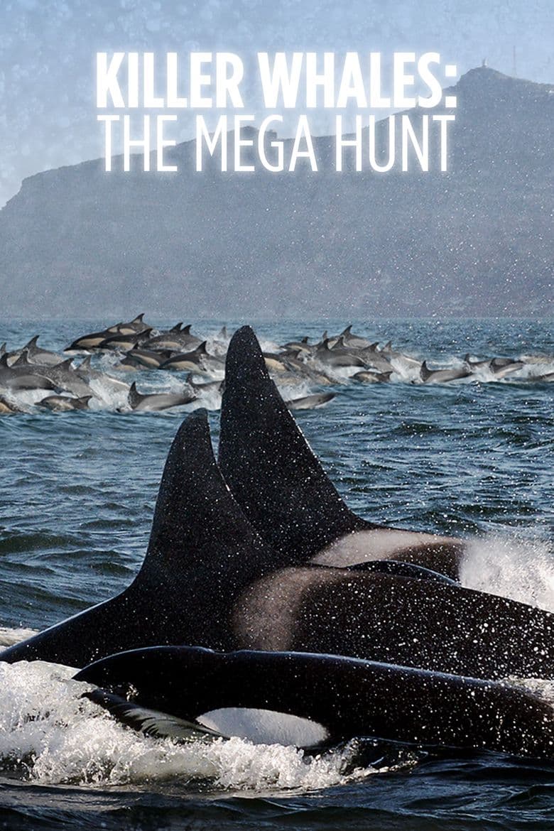 Killer Whales: The Mega Hunt