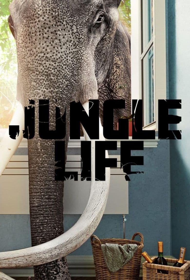 Welcome to the Jungle