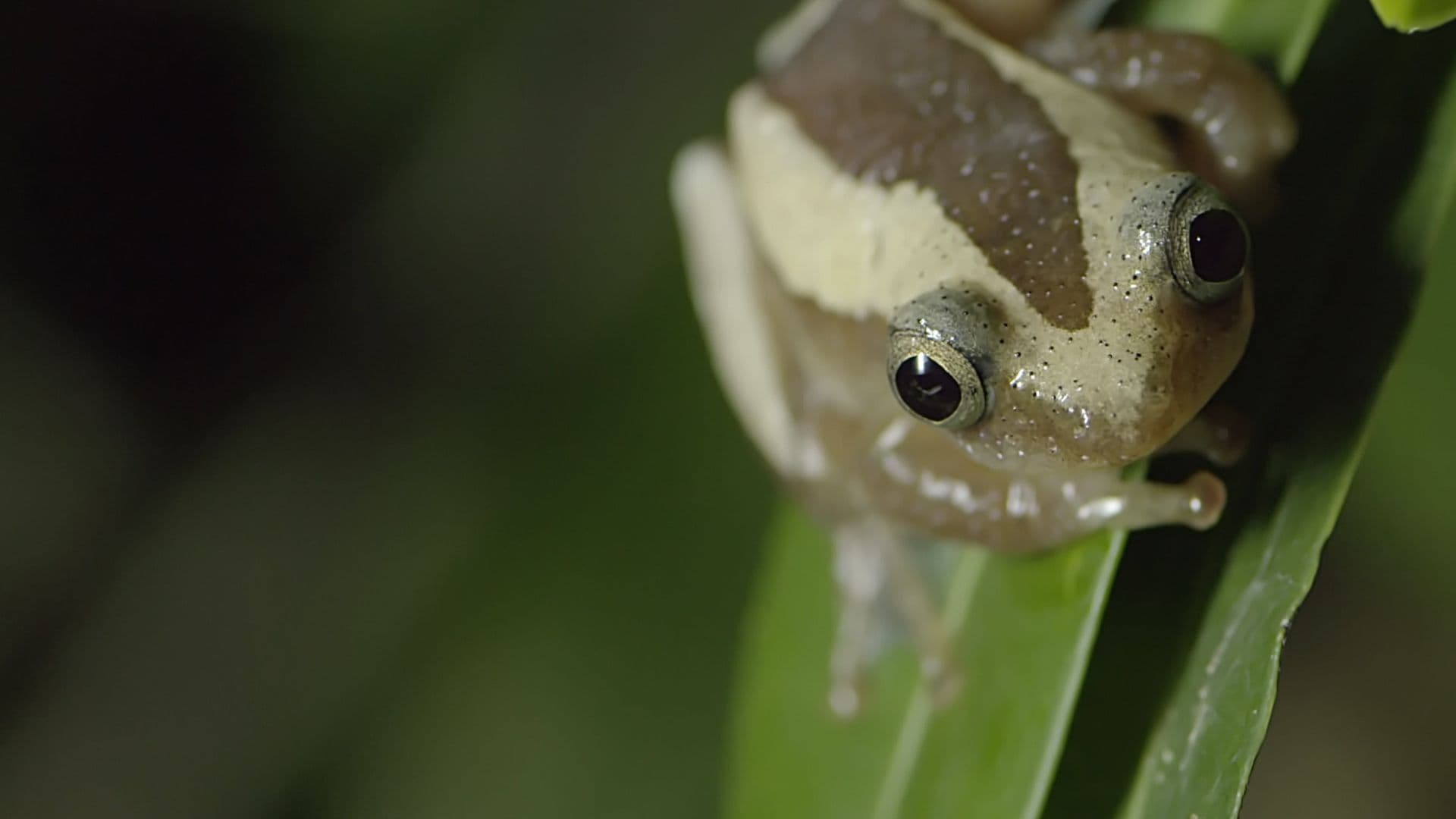 Waterworld Africa