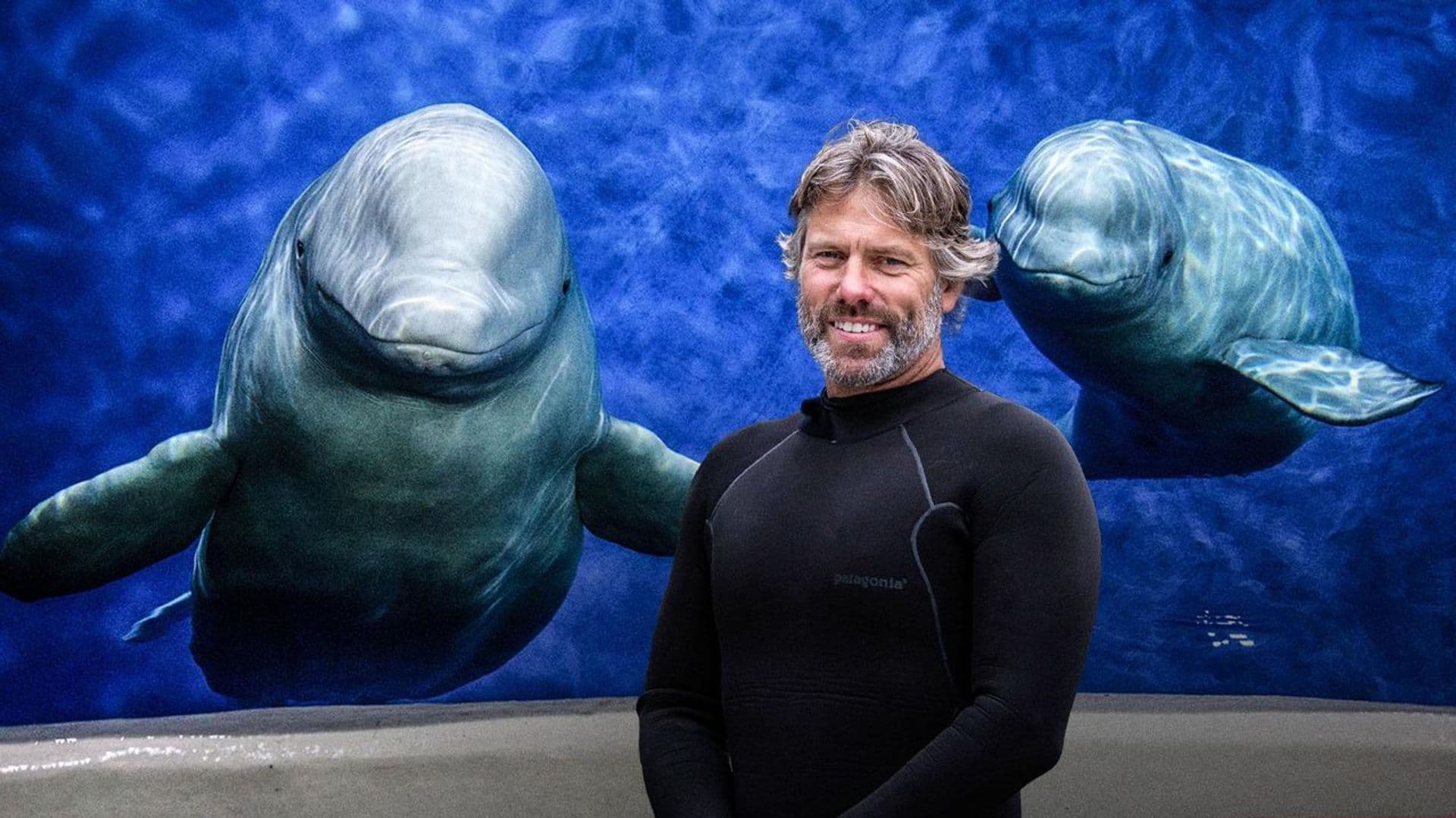 John Bishop's Great Whale Rescue