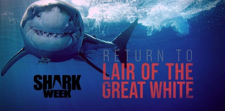 Return to the Lair of the Great White