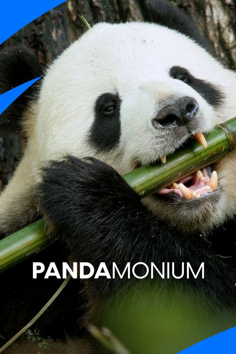 Pandamonium