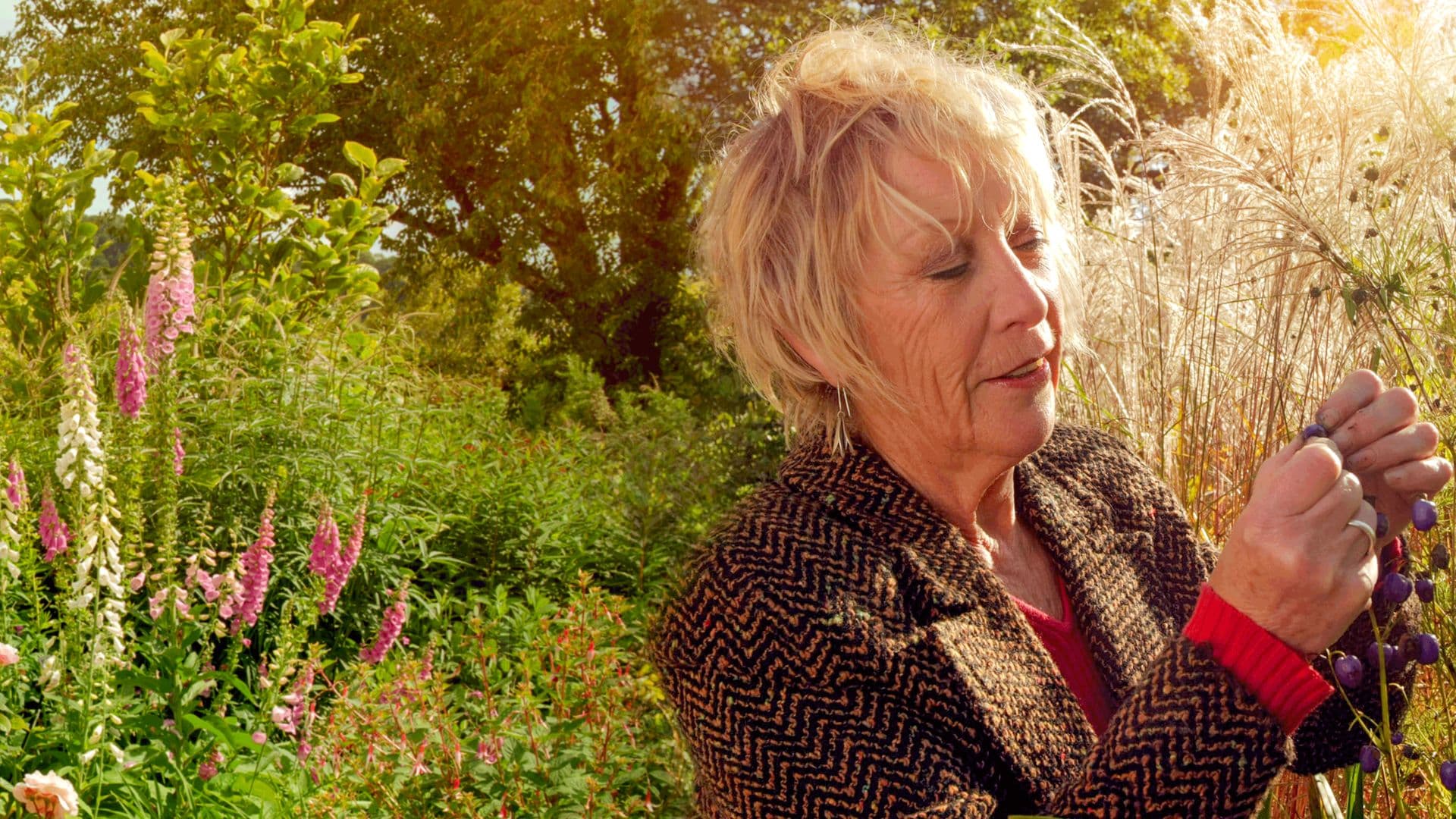 Life in a Cottage Garden with Carol Klein