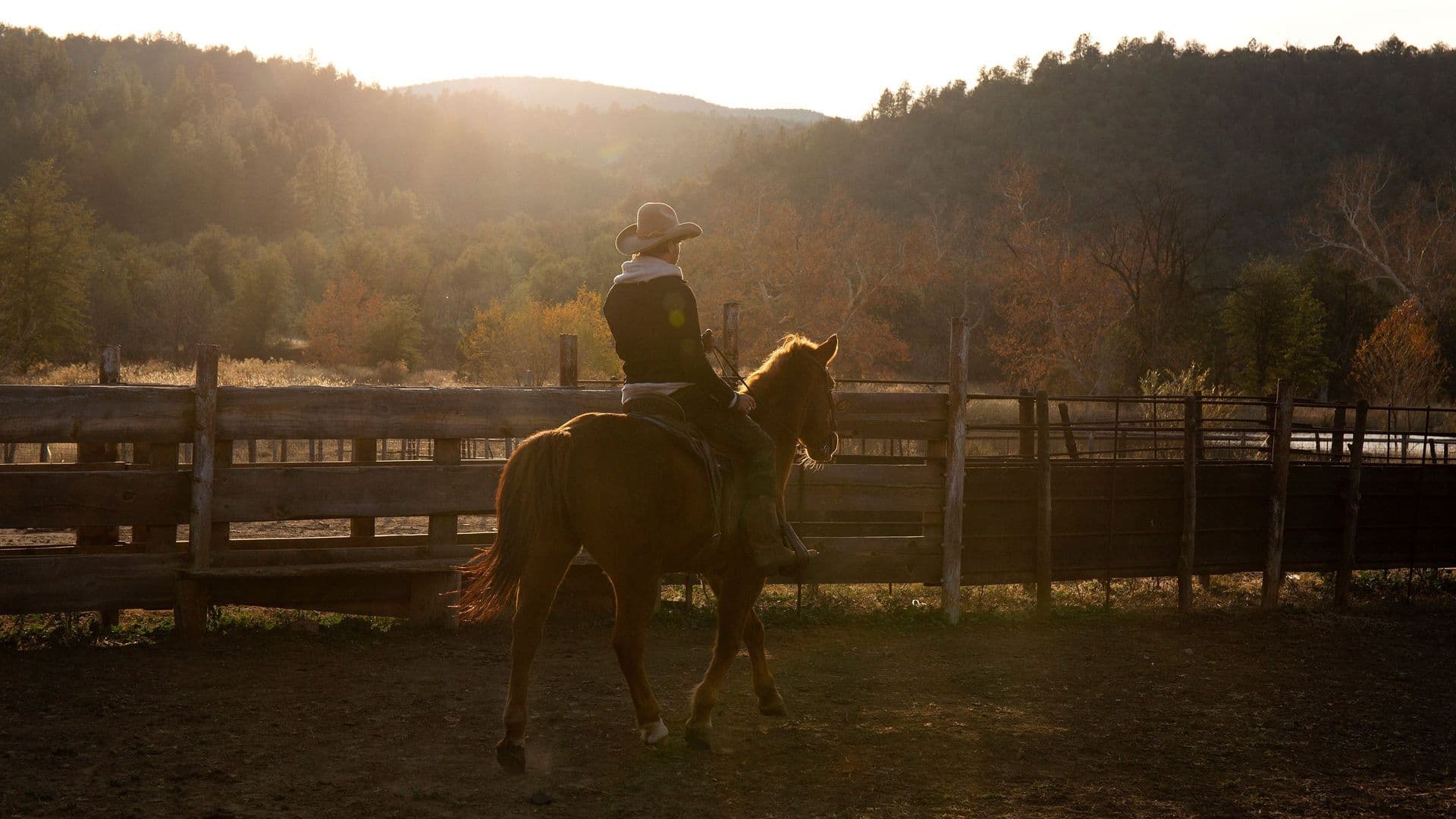 Celebs on the Ranch