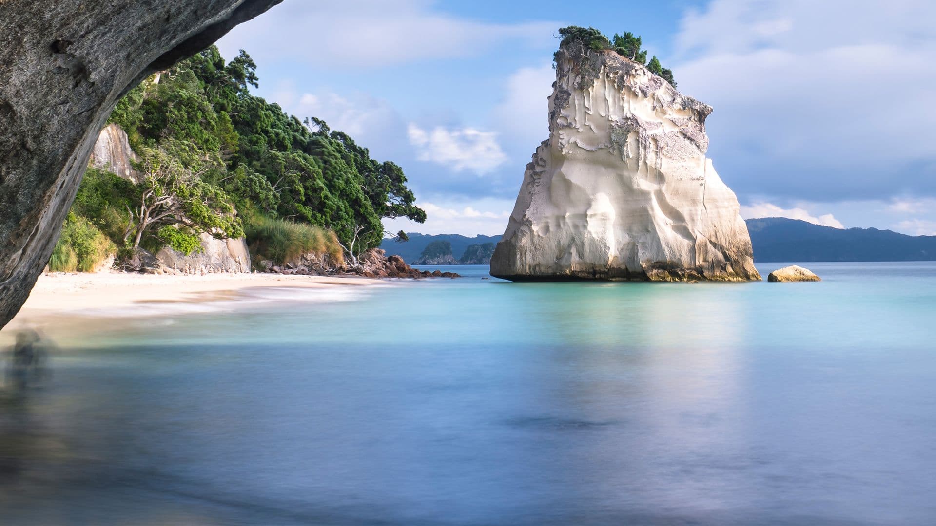 Coast New Zealand