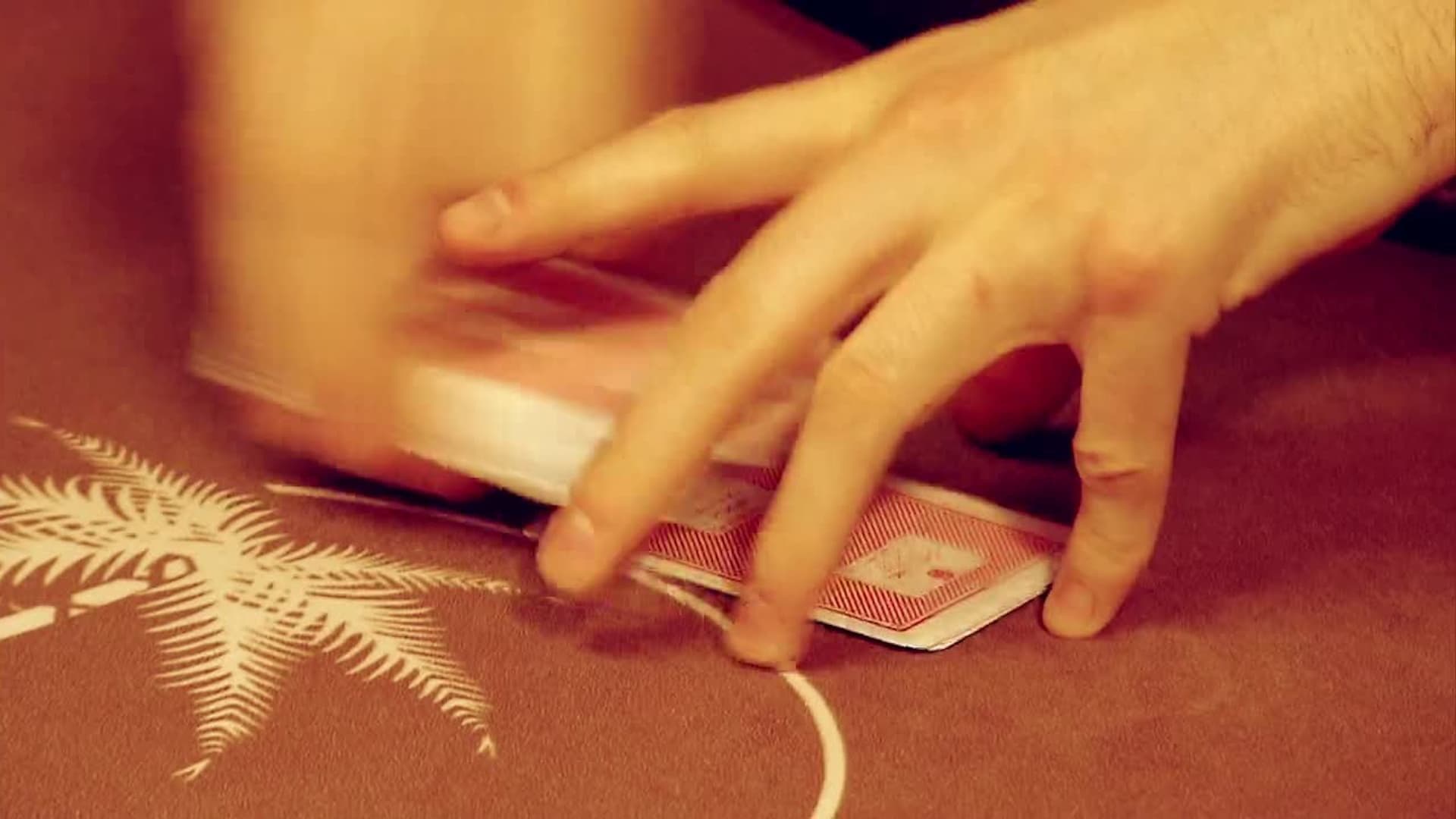 WPT Alpha8