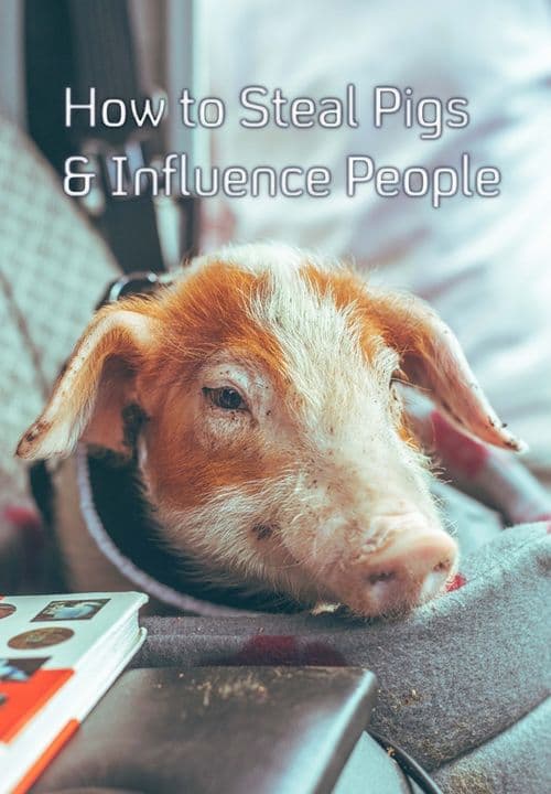 How to Steal Pigs and Influence People