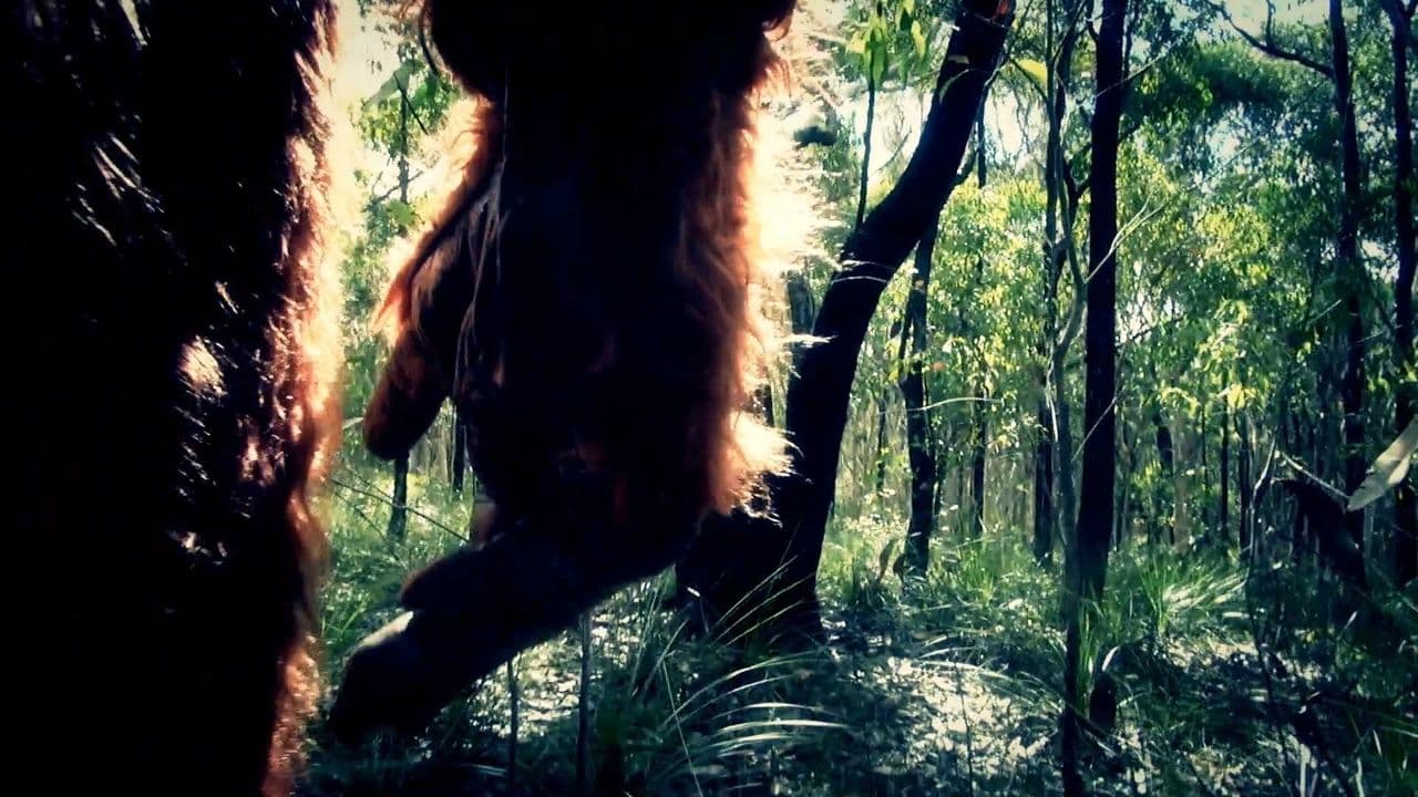 Bigfoot Encounters