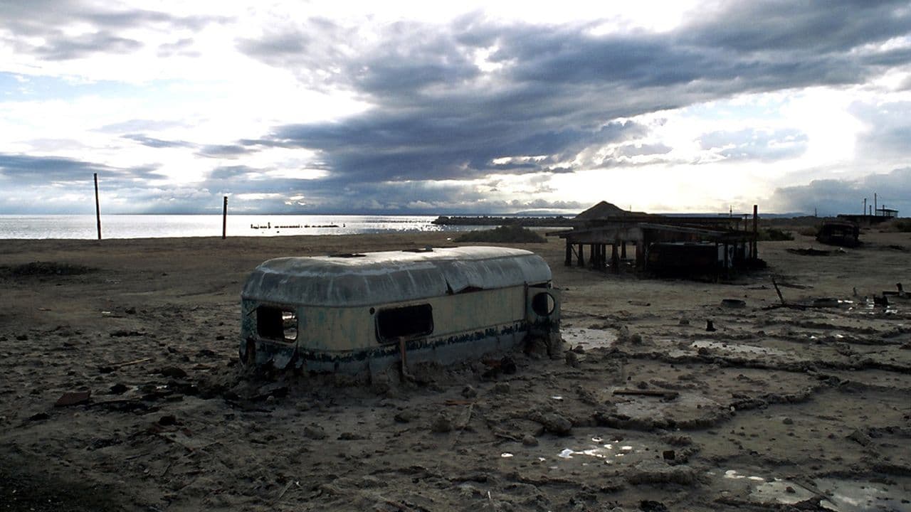 Plagues & Pleasures On the Salton Sea