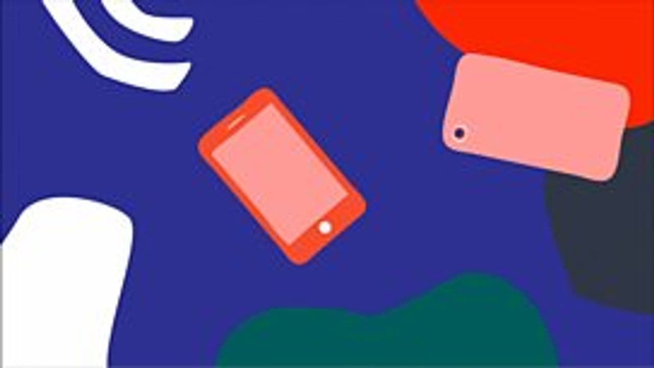 BBC Young Reporter Competition: The Winners 2021