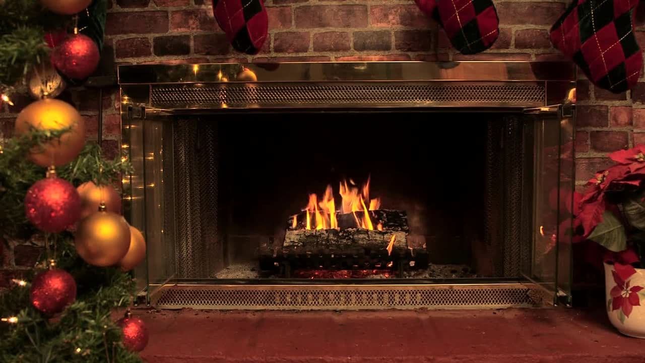 Snowball's Christmas Tails By the Fire