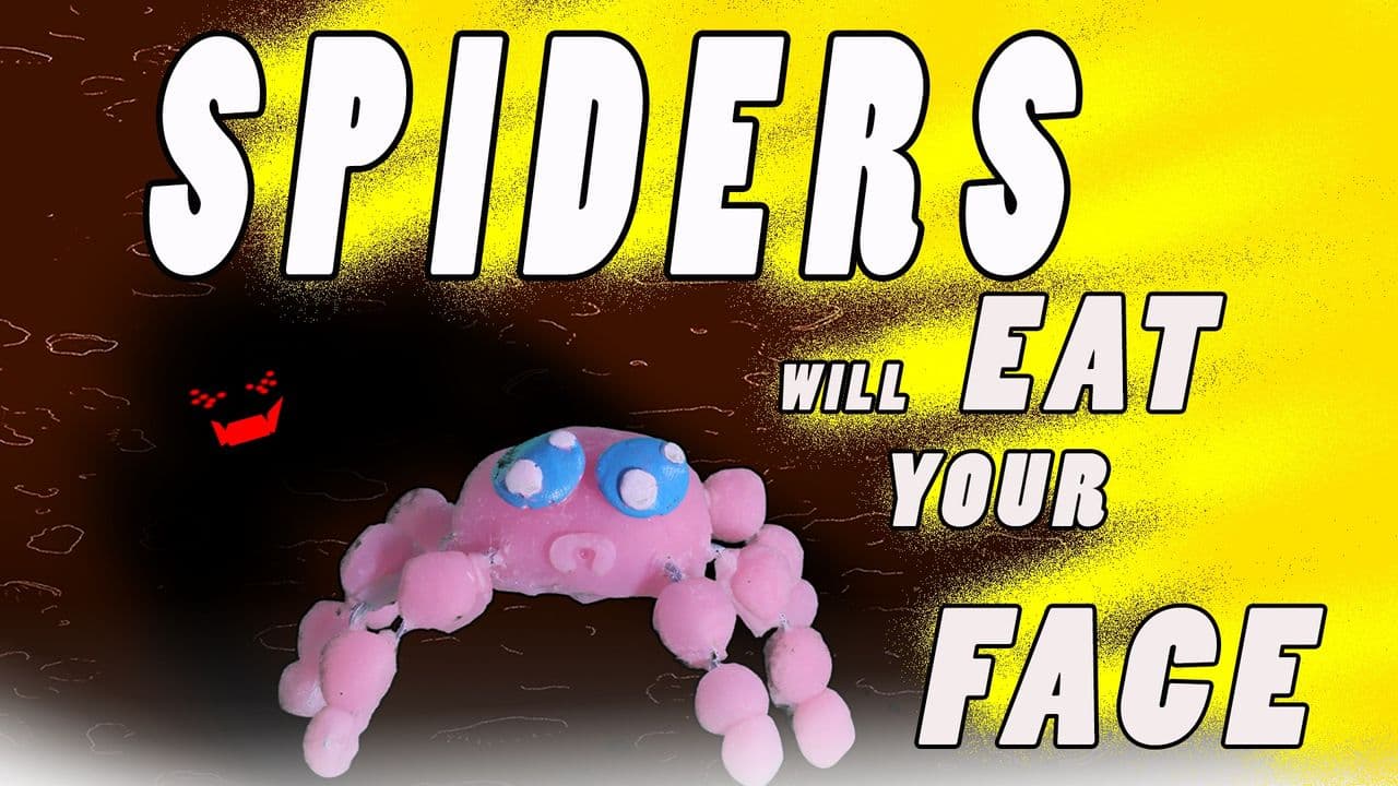 Spiders Will Eat Your Face