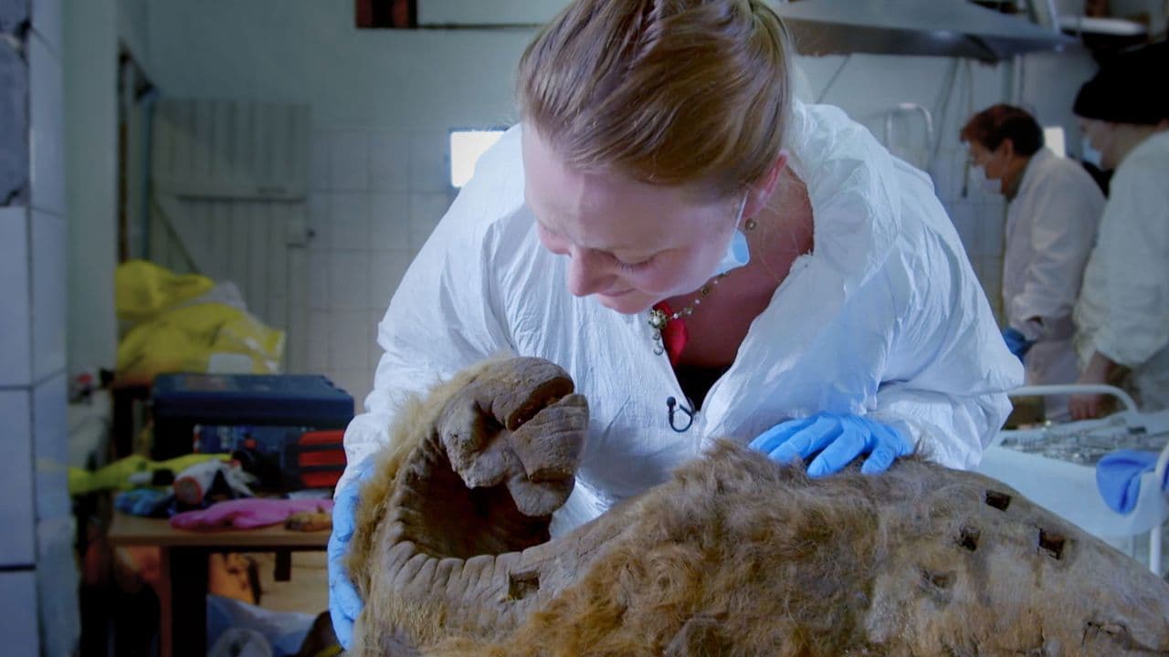 How To Clone A Woolly Mammoth