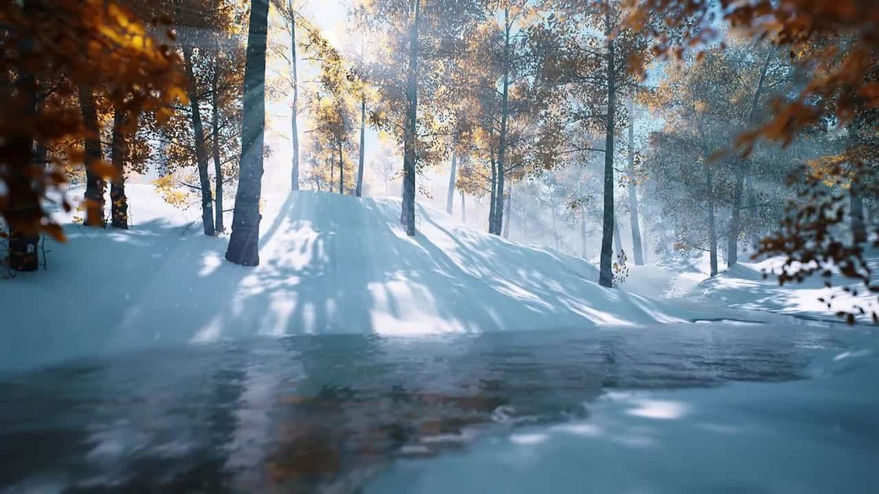 Winter Creek
