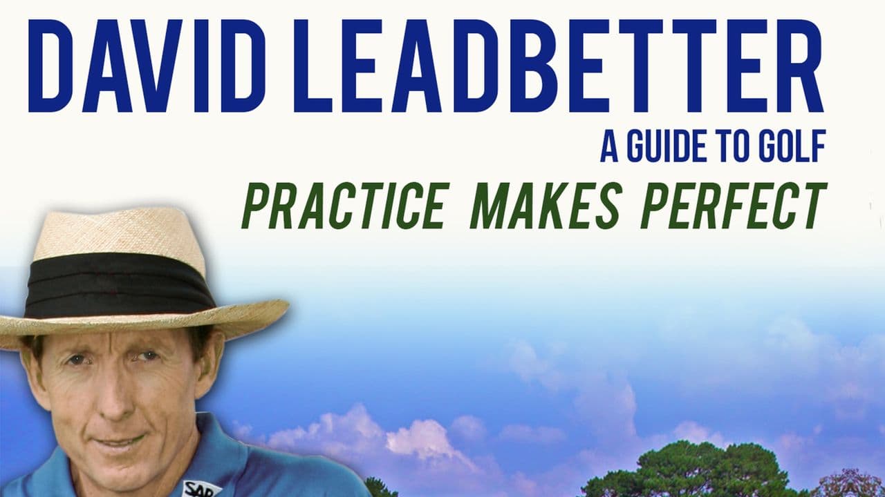 David Leadbetter Practice Makes Perfect