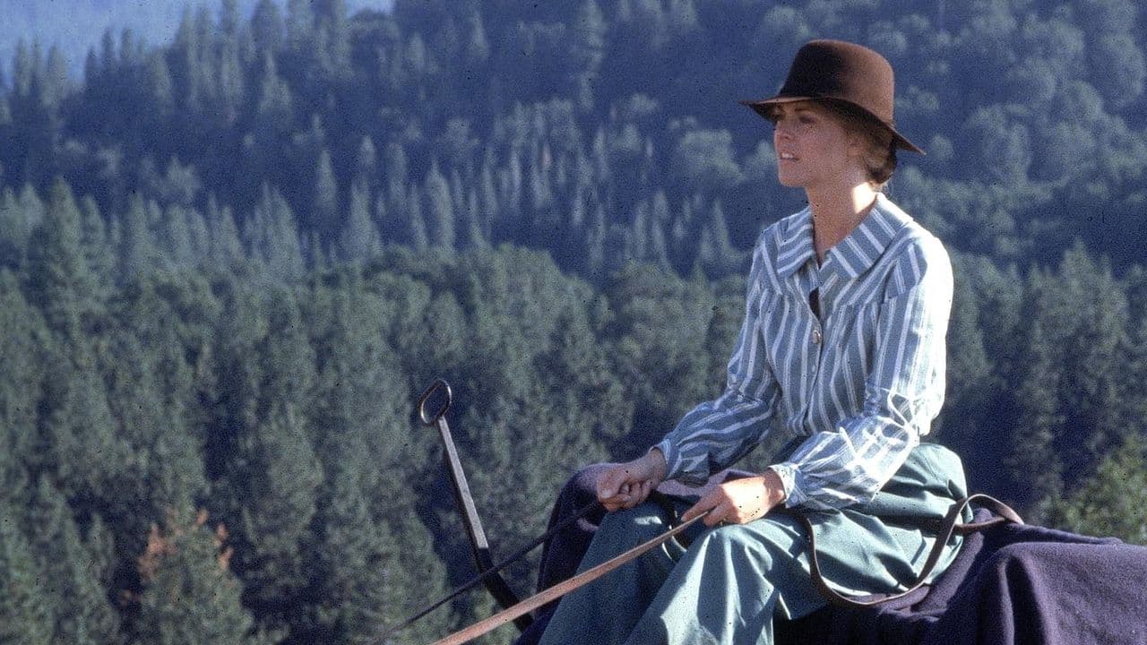 The Incredible Journey of Doctor Meg Laurel