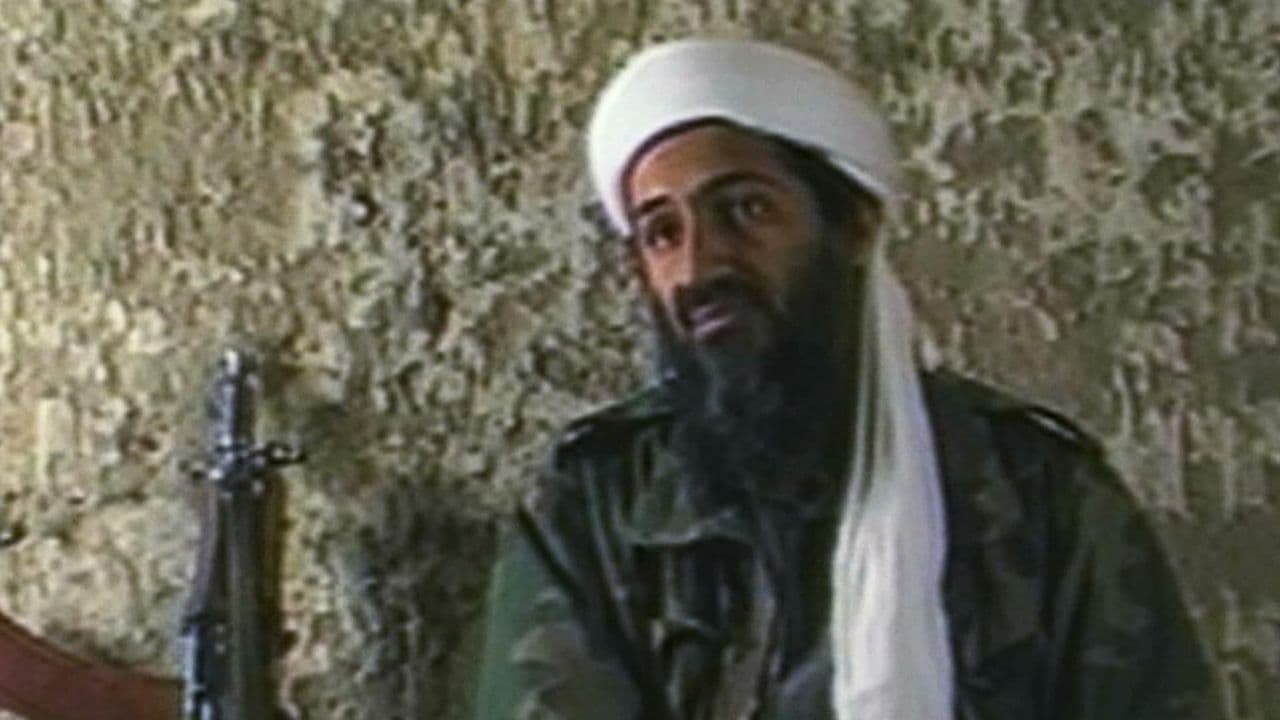 Hunting Bin Laden