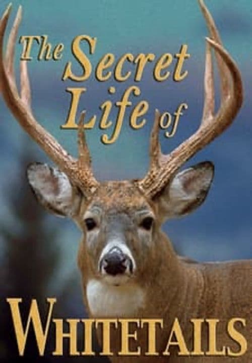 The Secret Life of Whitetails