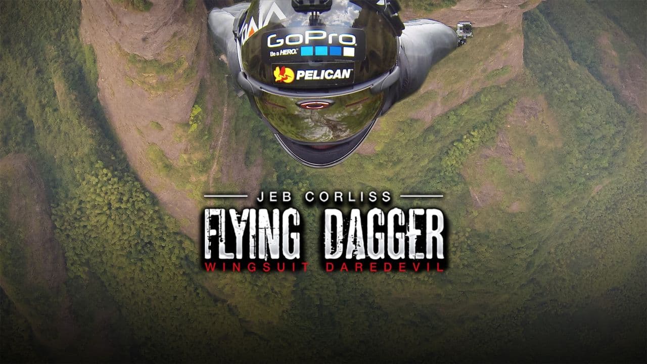 Flying Dagger