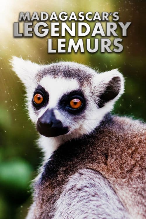 Madagascar's Legendary Lemurs