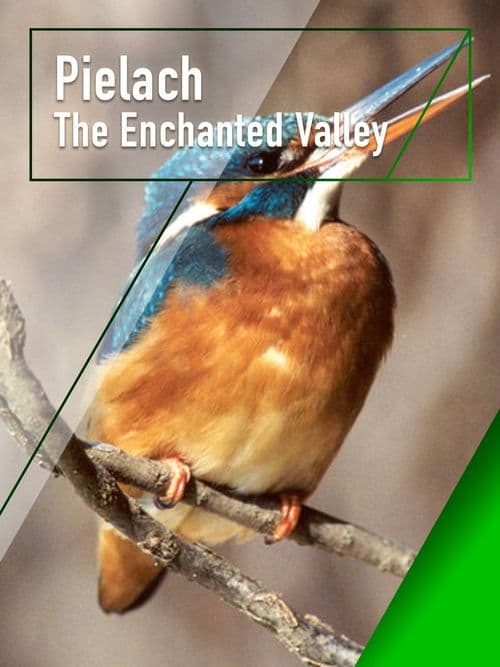 Pielach - The Enchanted Valley