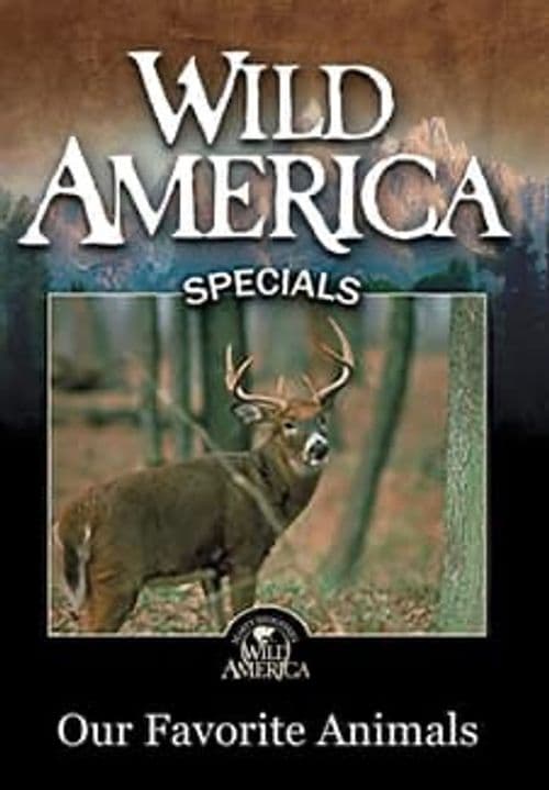 Our Favorite Animals