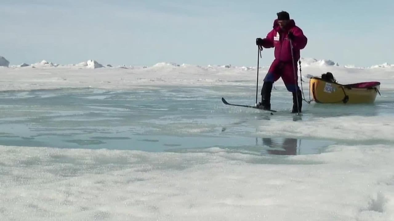 Cold Love