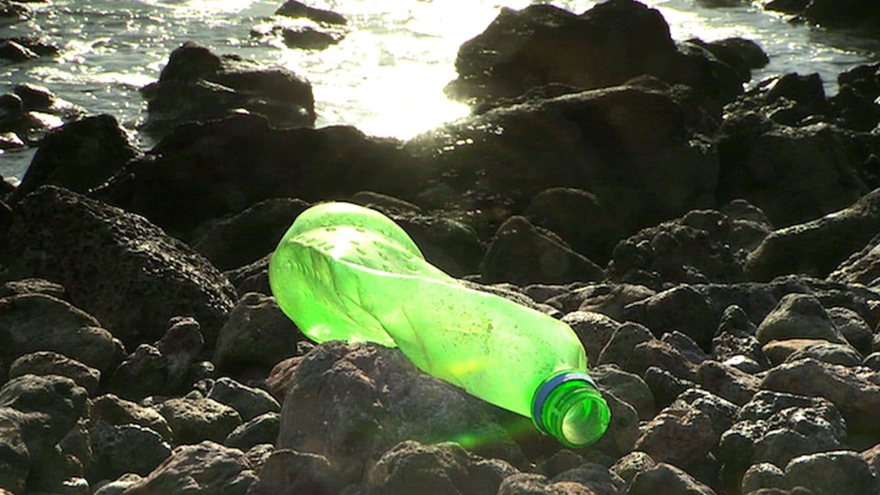 Plastic: The Real Sea Monster