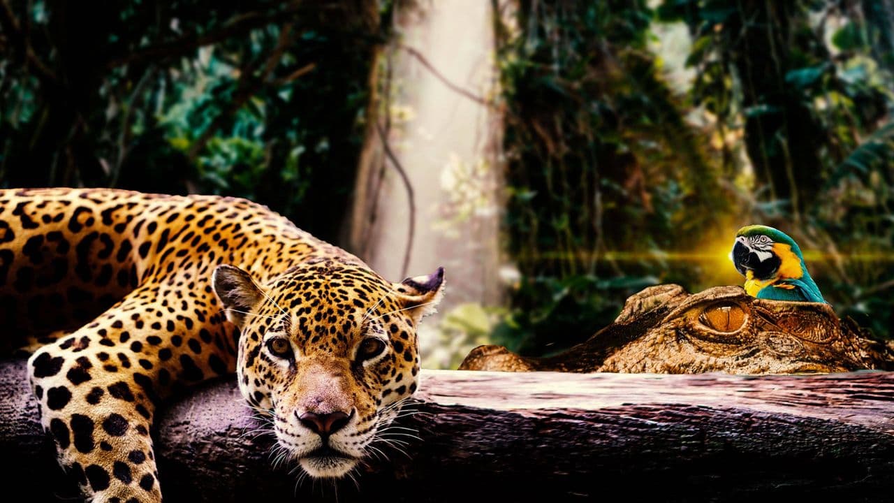 Bucket List: South America