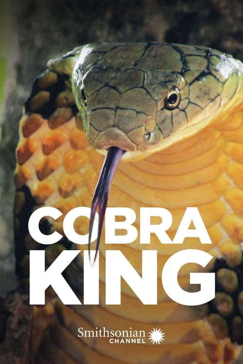 Cobra King