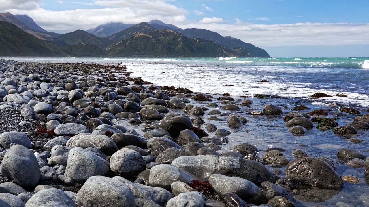 Drive Thru New Zealand