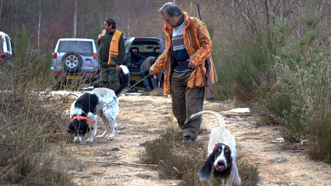 The Hunting Season