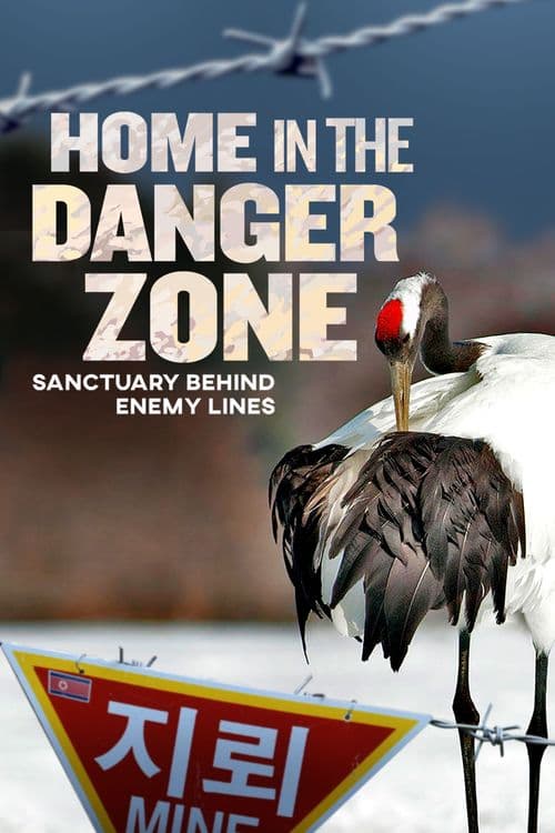 Home in the danger zone
