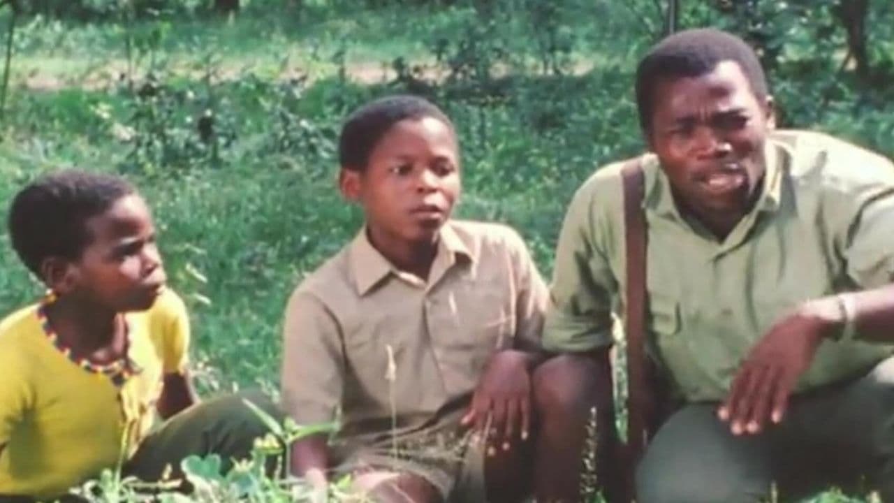 Bona manzi