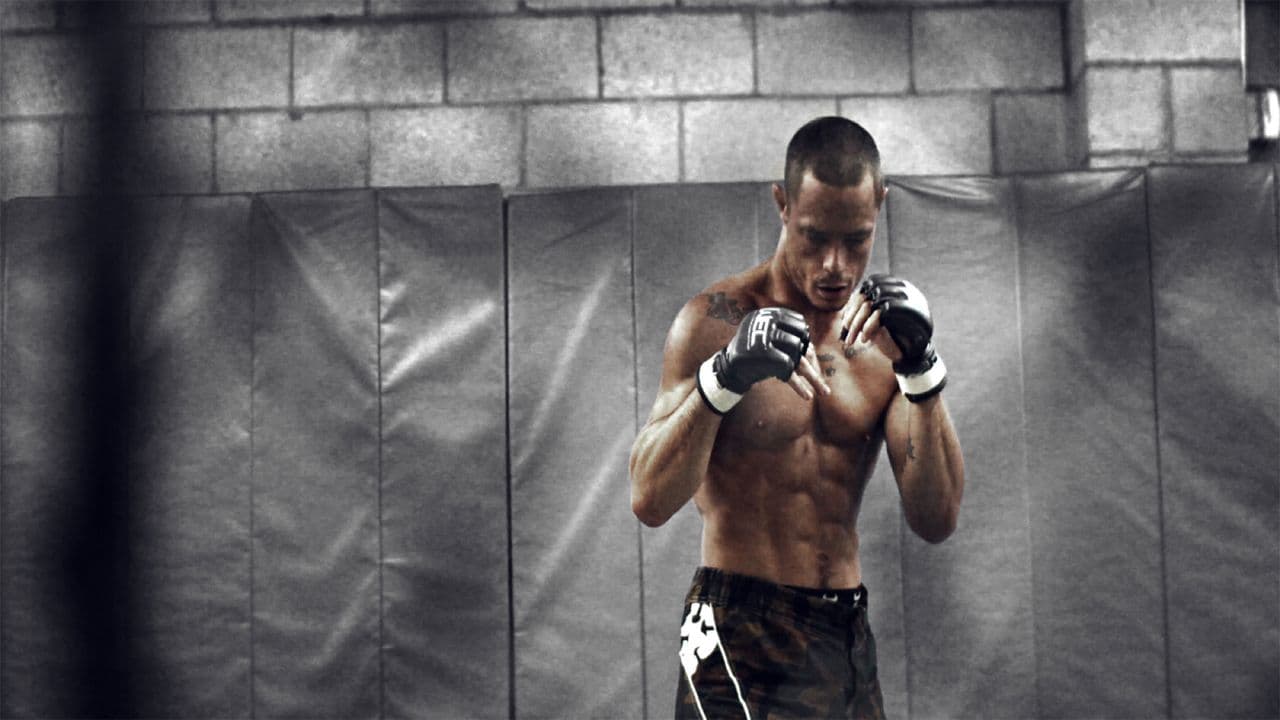 Occupation: Fighter