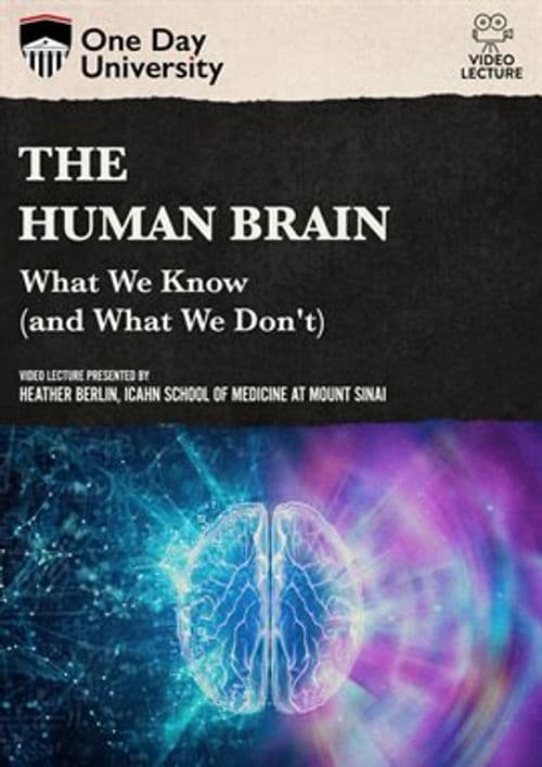 The Human Brain: What We Know (and What We Don't)