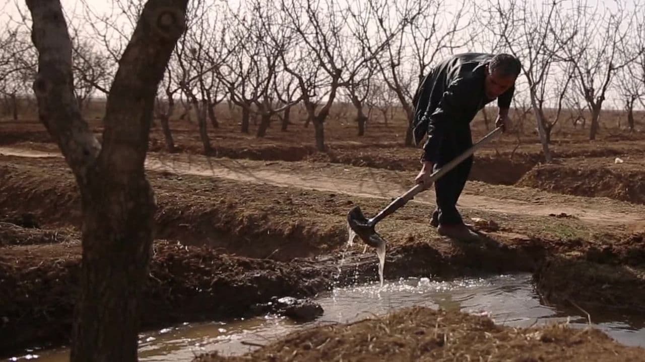 Pruning Season